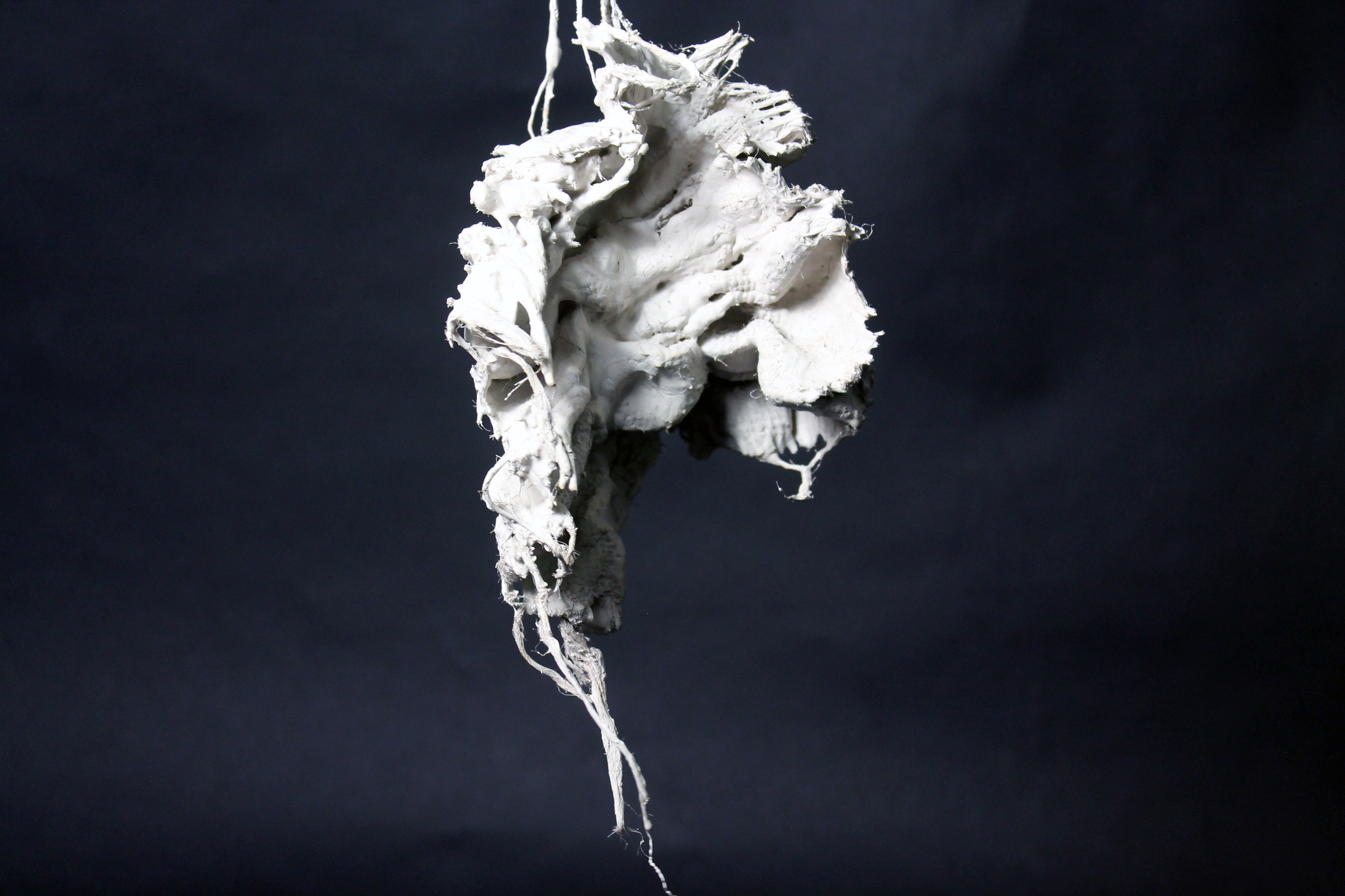 24382460319_85e86eec2f_o (1).jpg